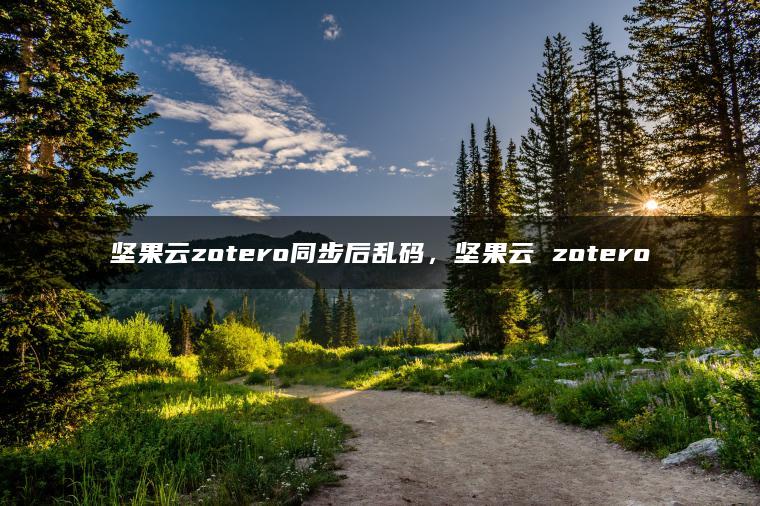 坚果云zotero同步后乱码，坚果云 zotero