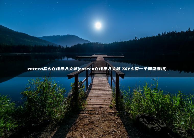 zotero怎么在线导入文献(zotero在线导入文献,为什么有一个网页链接)