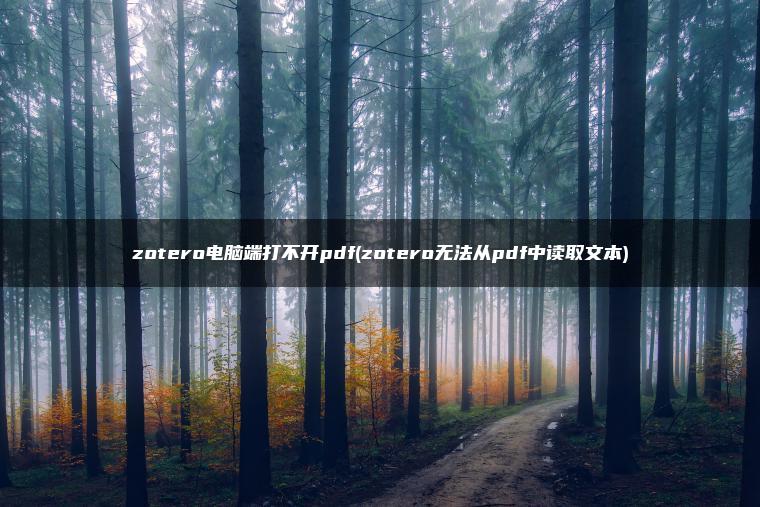 zotero电脑端打不开pdf(zotero无法从pdf中读取文本)