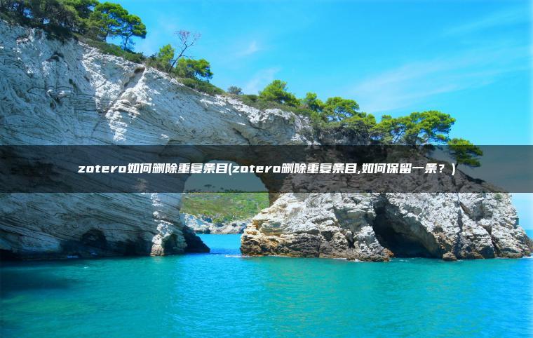 zotero如何删除重复条目(zotero删除重复条目,如何保留一条？)