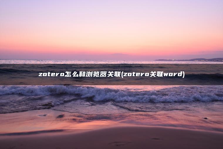 zotero怎么和浏览器关联(zotero关联word)