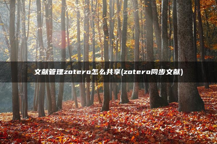 文献管理zotero怎么共享(zotero同步文献)