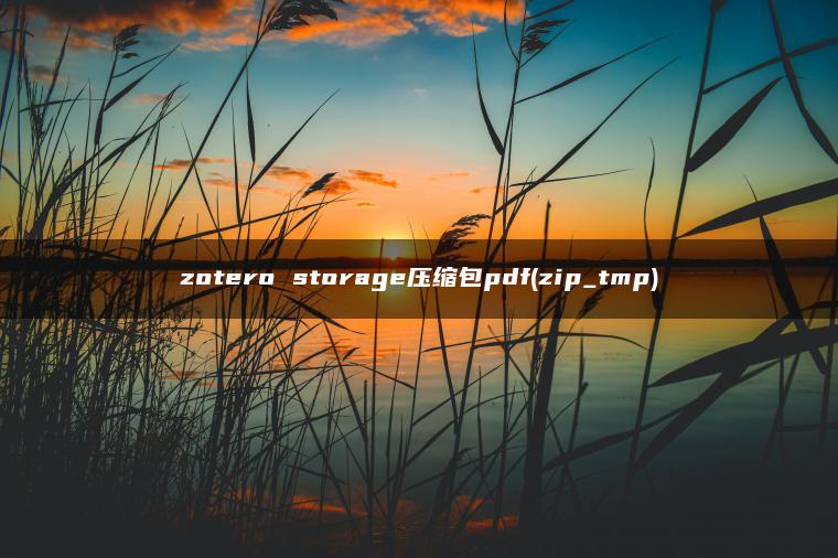 zotero storage压缩包pdf(zip_tmp)