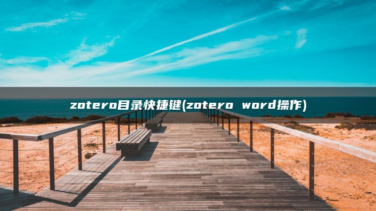 zotero目录快捷键(zotero word操作)