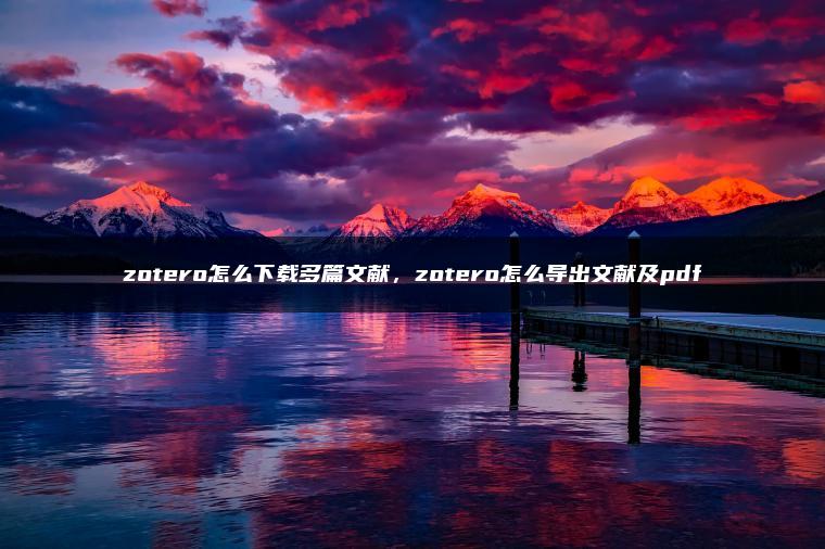 zotero怎么下载多篇文献，zotero怎么导出文献及pdf