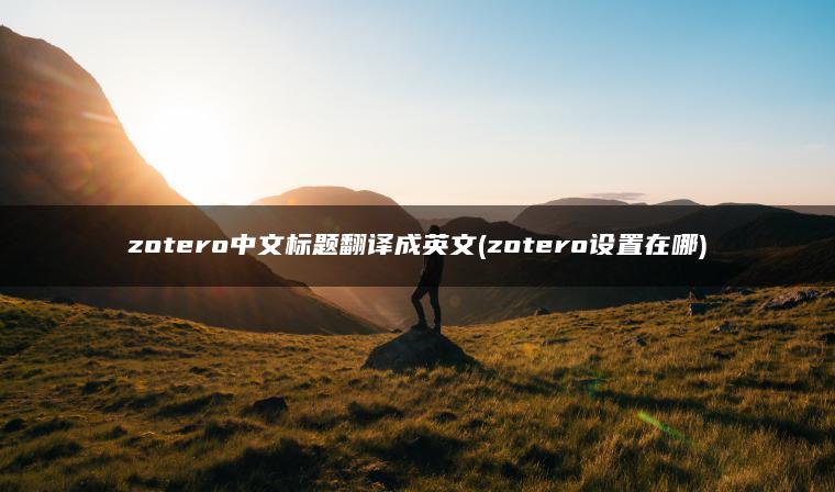 zotero中文标题翻译成英文(zotero设置在哪)