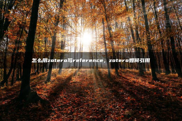 怎么用zotero写reference，zotero如何引用