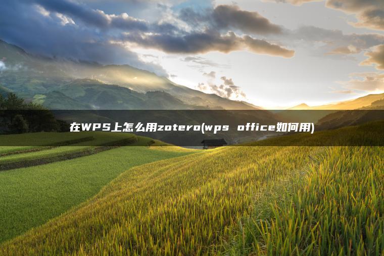 在WPS上怎么用zotero(wps office如何用)