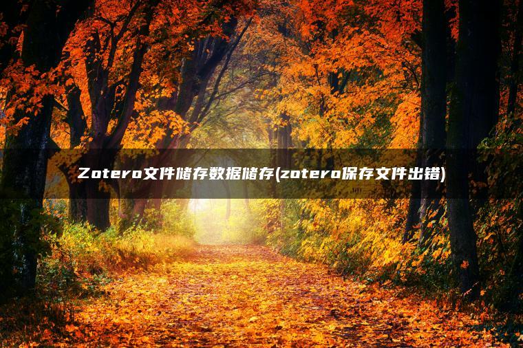 Zotero文件储存数据储存(zotero保存文件出错)