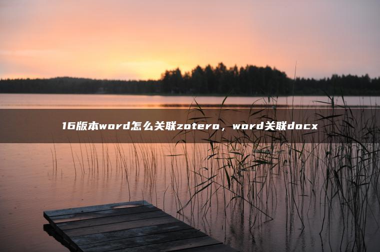 16版本word怎么关联zotero，word关联docx