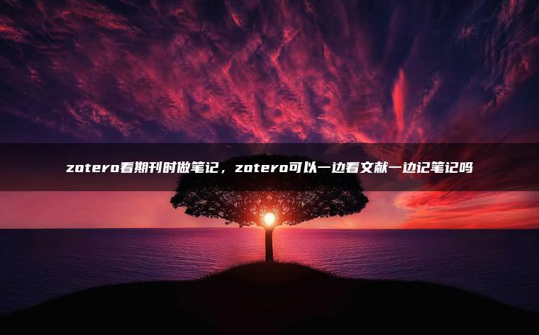 zotero看期刊时做笔记，zotero可以一边看文献一边记笔记吗