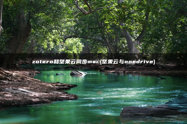 zotero和坚果云同步mac(坚果云与onedrive)