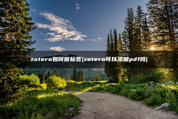 zotero如何做标签(zotero可以添加pdf吗)