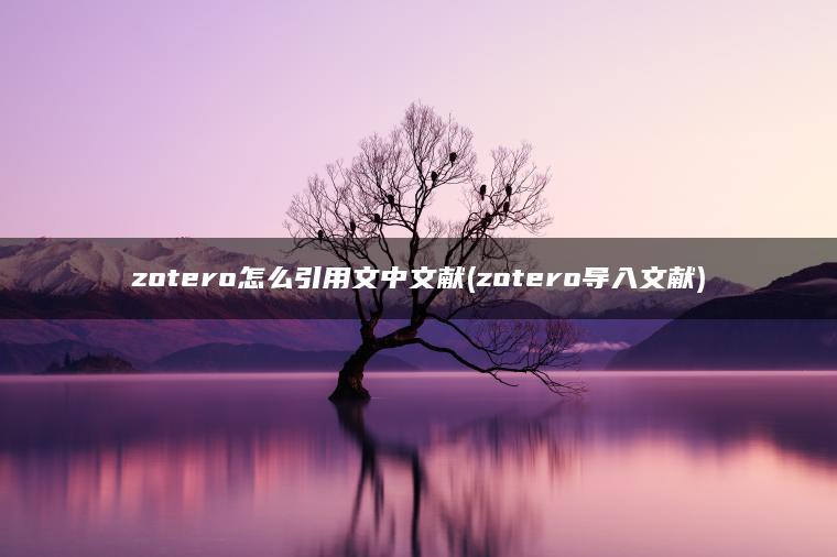 zotero怎么引用文中文献(zotero导入文献)