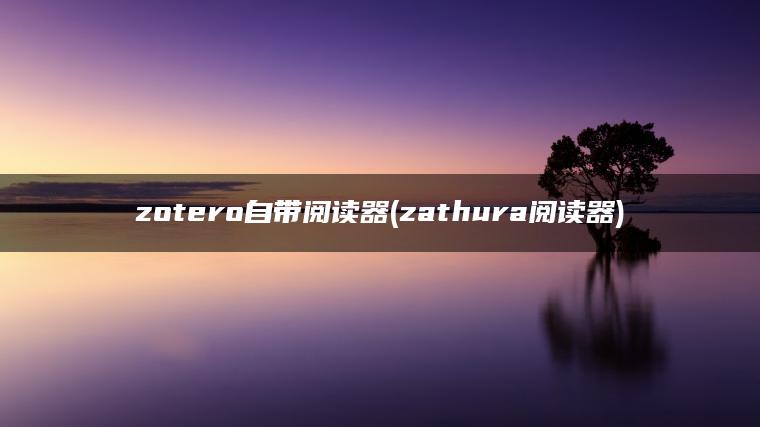 zotero自带阅读器(zathura阅读器)