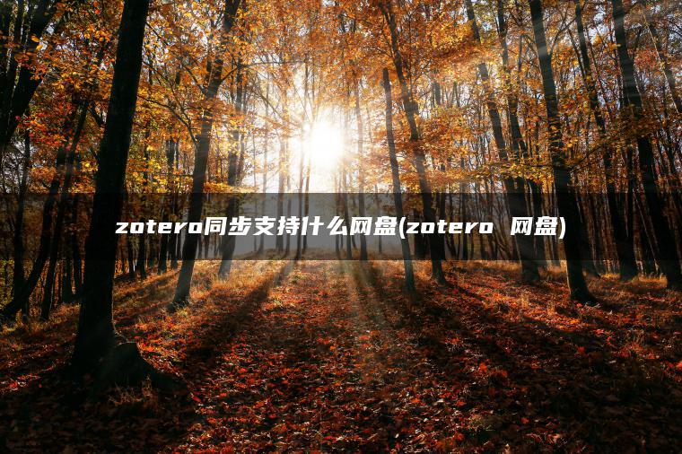 zotero同步支持什么网盘(zotero 网盘)