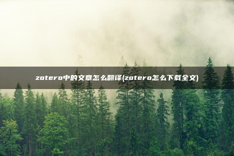 zotero中的文章怎么翻译(zotero怎么下载全文)