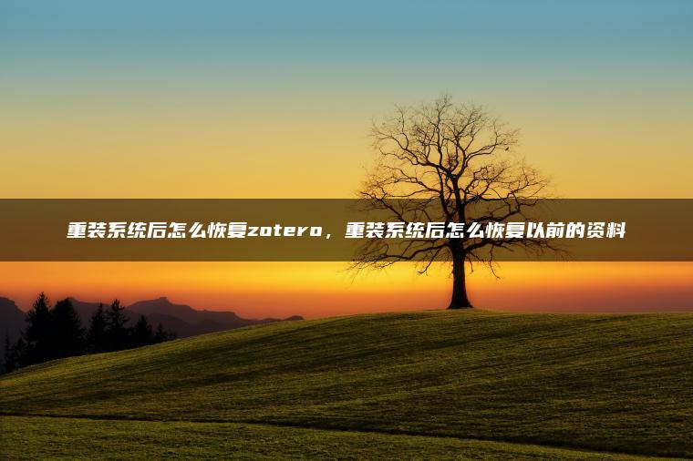 重装系统后怎么恢复zotero，重装系统后怎么恢复以前的资料