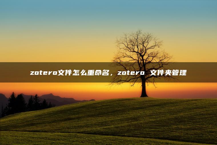 zotero文件怎么重命名，zotero 文件夹管理