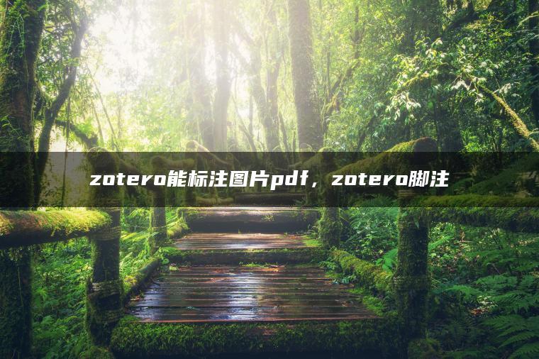 zotero能标注图片pdf，zotero脚注