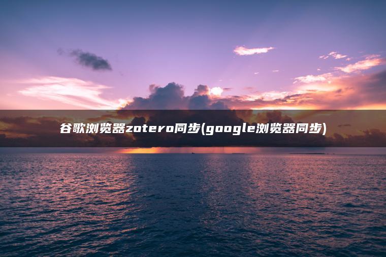 谷歌浏览器zotero同步(google浏览器同步)