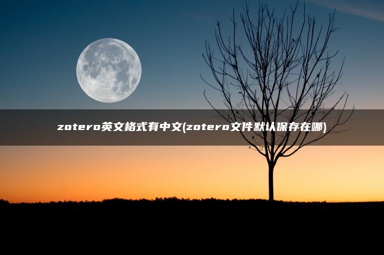 zotero英文格式有中文(zotero文件默认保存在哪)