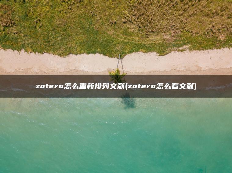 zotero怎么重新排列文献(zotero怎么看文献)