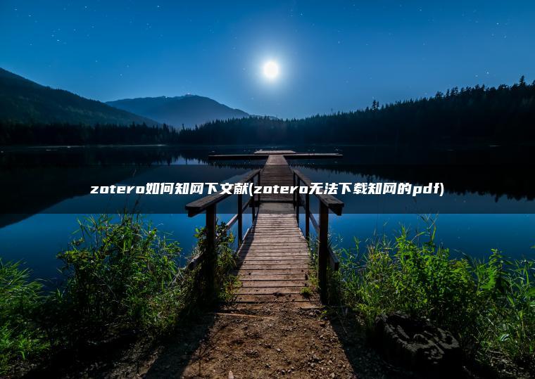 zotero如何知网下文献(zotero无法下载知网的pdf)