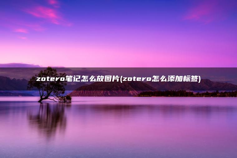 zotero笔记怎么放图片(zotero怎么添加标签)