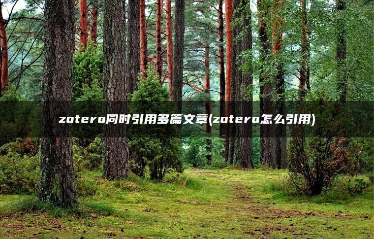 zotero同时引用多篇文章(zotero怎么引用)