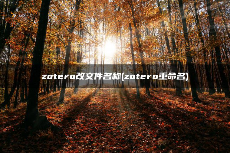 zotero改文件名称(zotero重命名)