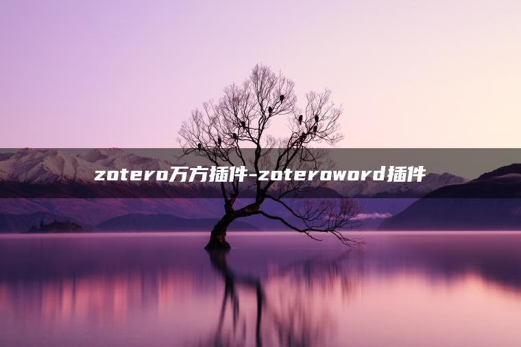 zotero万方插件-zoteroword插件