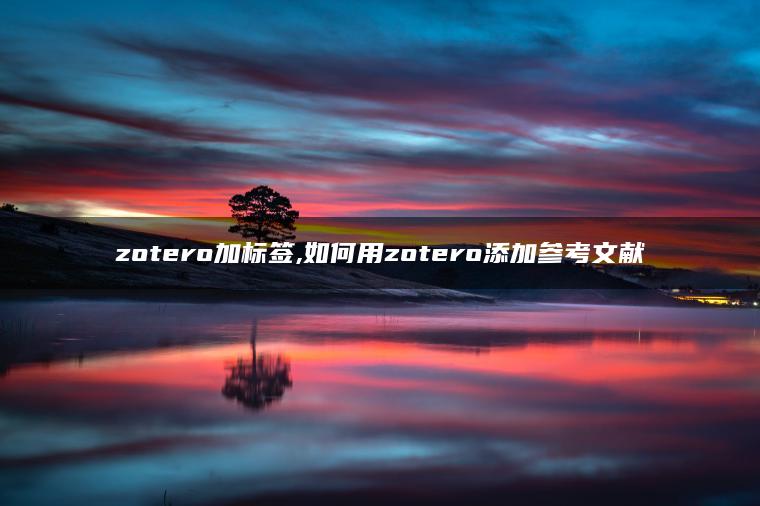 zotero加标签,如何用zotero添加参考文献