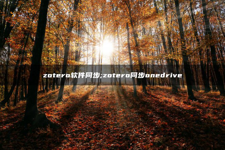 zotero软件同步;zotero同步onedrive