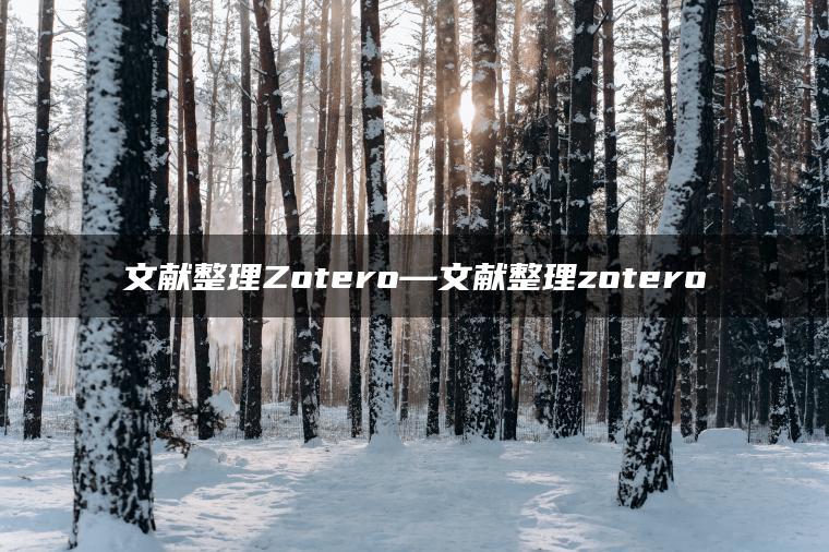 文献整理Zotero—文献整理zotero