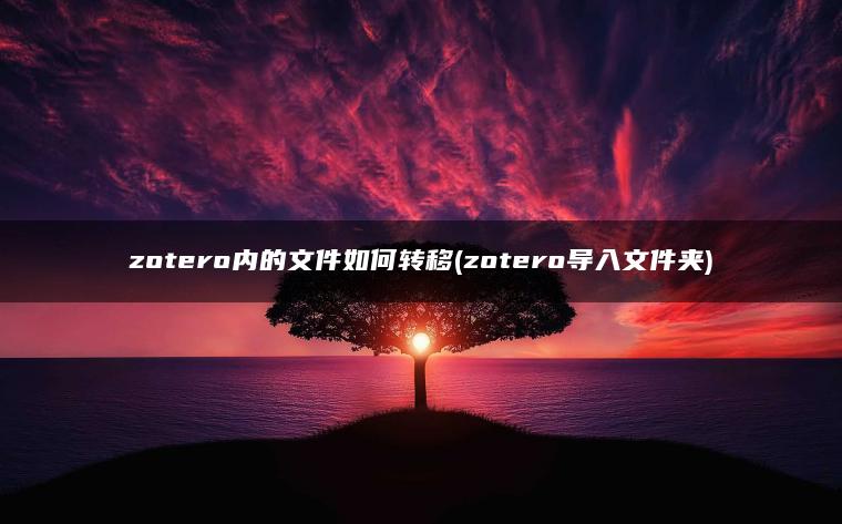 zotero内的文件如何转移(zotero导入文件夹)