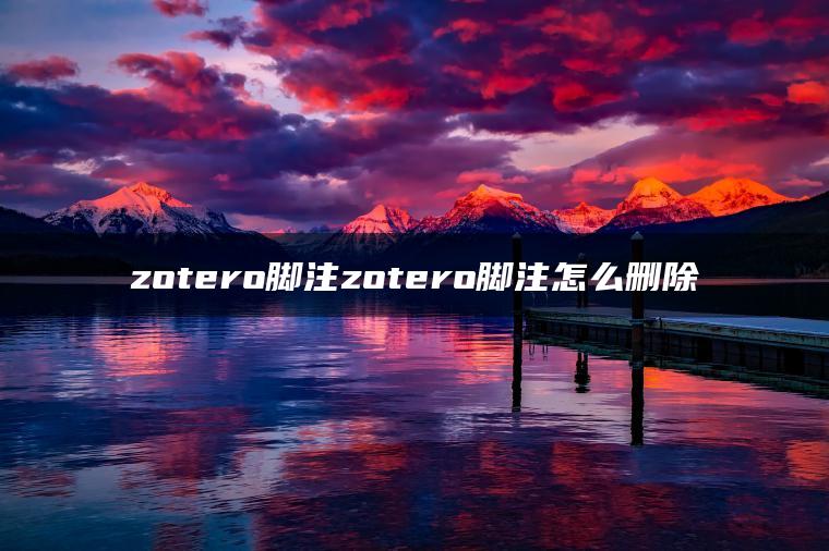 zotero脚注zotero脚注怎么删除