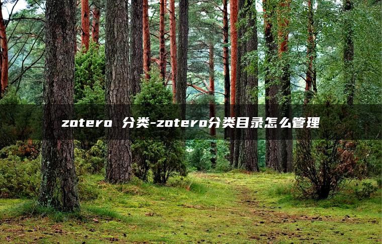 zotero 分类-zotero分类目录怎么管理