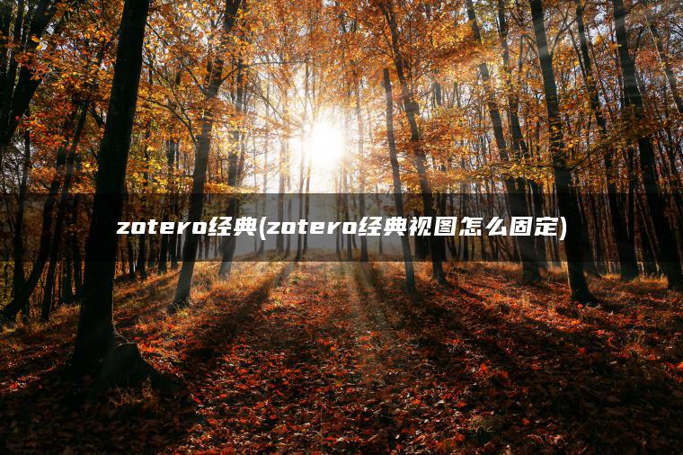 zotero经典(zotero经典视图怎么固定)