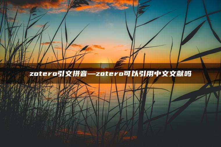 zotero引文拼音—zotero可以引用中文文献吗