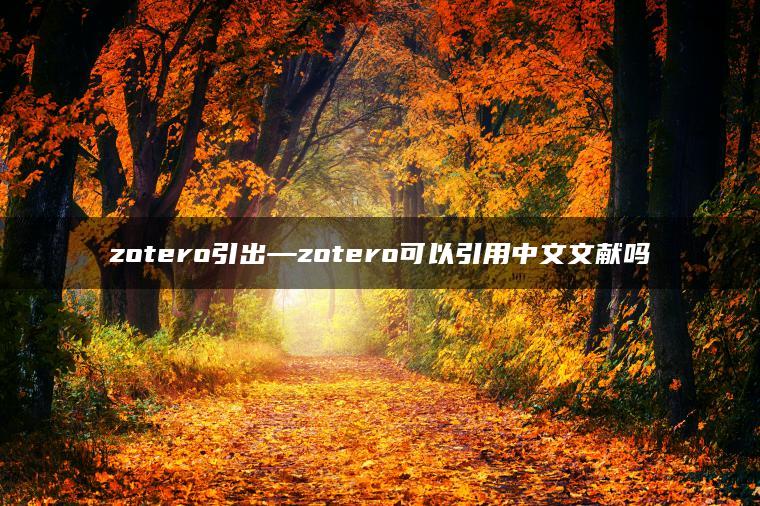 zotero引出—zotero可以引用中文文献吗