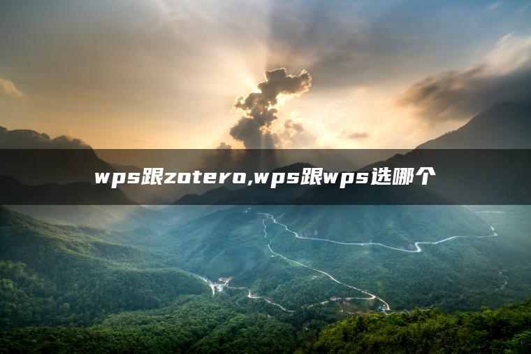 wps跟zotero,wps跟wps选哪个