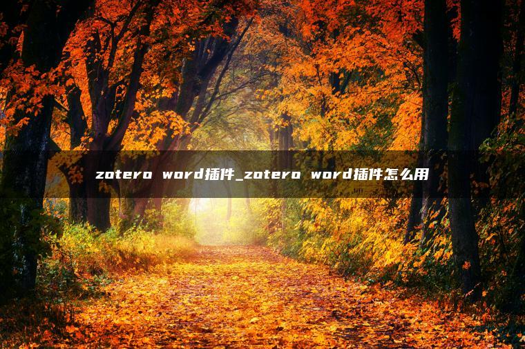 zotero word插件_zotero word插件怎么用