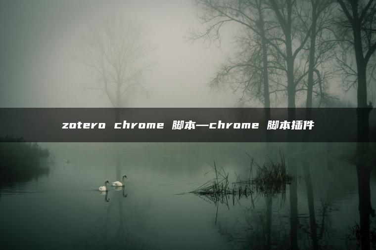 zotero chrome 脚本—chrome 脚本插件