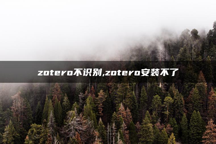 zotero不识别,zotero安装不了