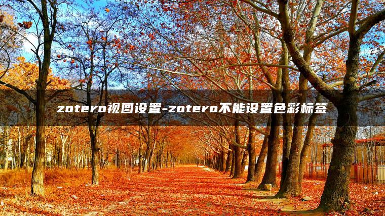 zotero视图设置-zotero不能设置色彩标签