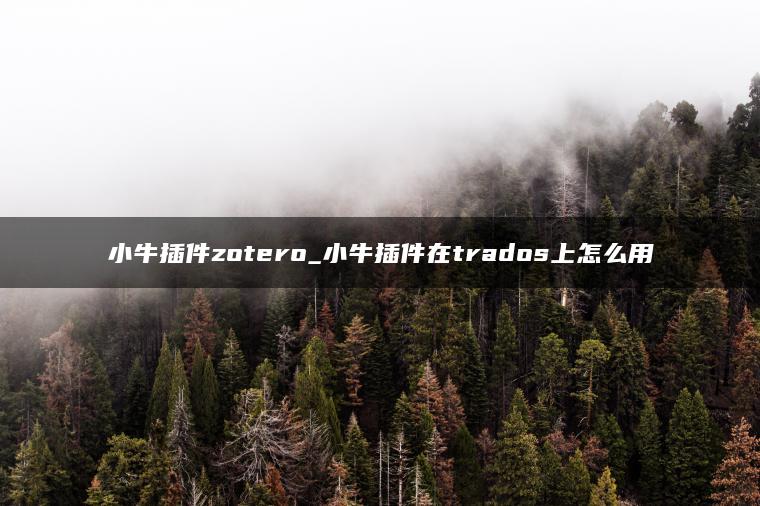 小牛插件zotero_小牛插件在trados上怎么用