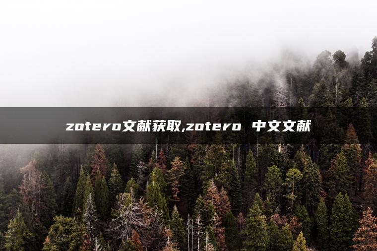 zotero文献获取,zotero 中文文献