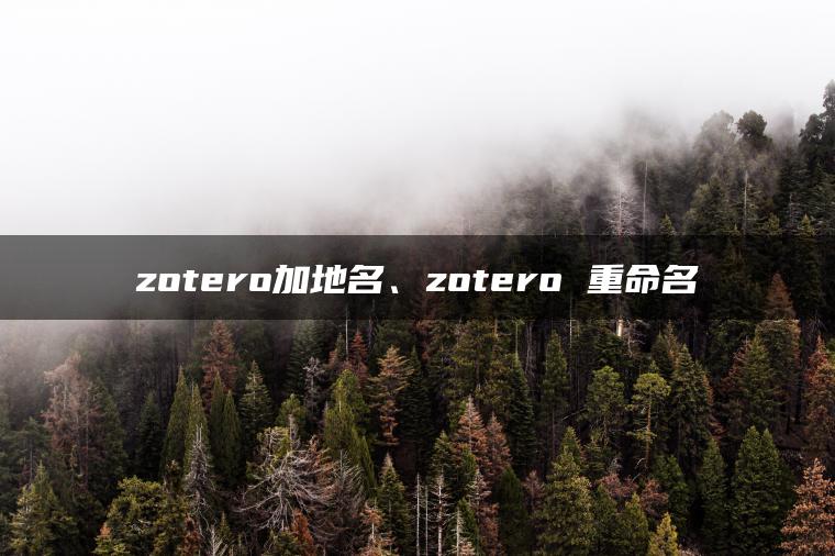 zotero加地名、zotero 重命名