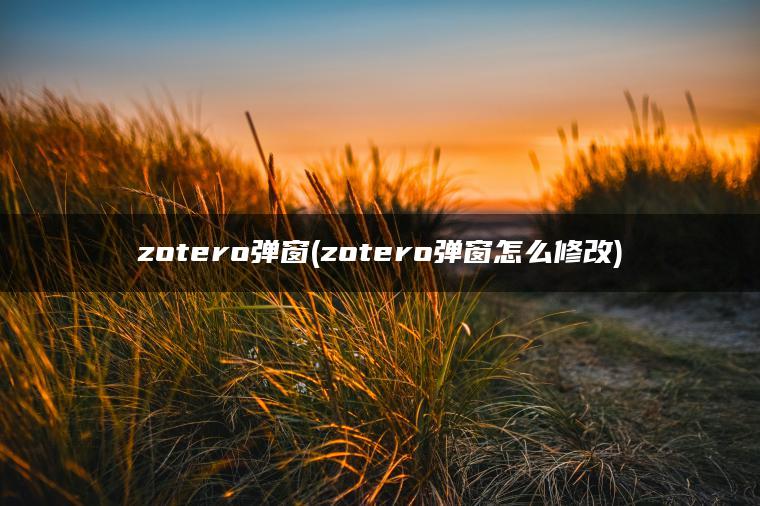 zotero弹窗(zotero弹窗怎么修改)